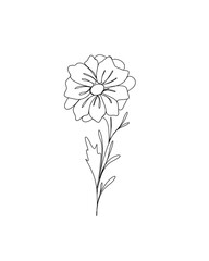 Obraz premium line art drawing of flowers. minimalism sketch, idea for invitation, design of instagram stories and highlights icons