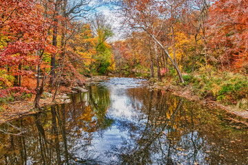 Creek in Fall