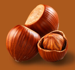 Haselnuss, Nuss, Haselnüsse, isoliert, Haselnusskern,