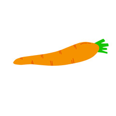 Carrot Vegetables Cartoon Vector Illustration