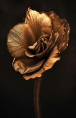Gleaming Metallic Flower on a Dark Background, Elegant Floral Photography