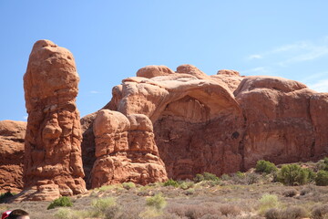 Fototapeta premium park