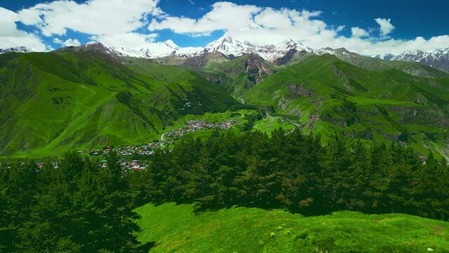 Snowy mountain behind green pine trees - Drone aerial video, Georgia Kazbek