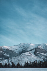 Obraz premium Winter mountain landscape at frozen day, snowy evergreen forest and field in Low Tatras, Slovakia