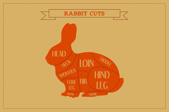 Butchers diagram guide for cutting Rabbit. 