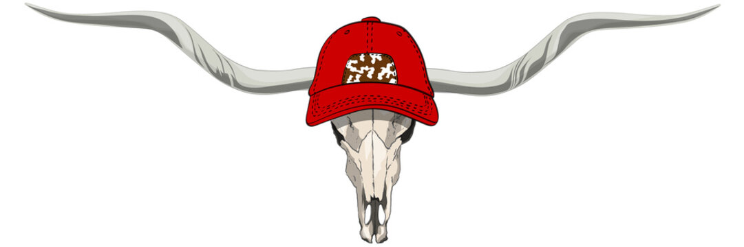 Texas longhorn Texas cow skull head with a rap cap isolated transparent without background ready for print