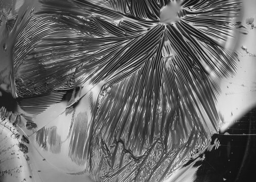 Silver Black and White Flow chrome metallic foil texture abstract background thin-film interference science, gray glossy