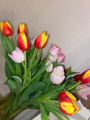 bunch of tulips