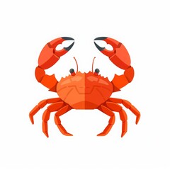 Red sea crab isolated on white background illustration.