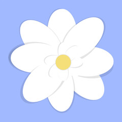 White flower on blue background, vector flat design