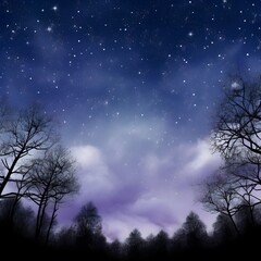 Fototapeta premium Night sky with stars