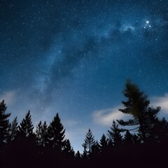 Fototapeta premium night landscape with moon and stars