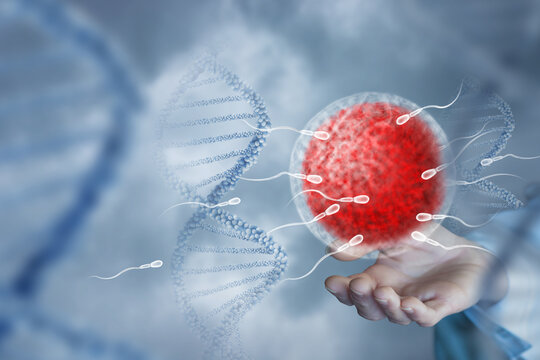 Hand shows artificial insemination on blurred background and DNA.