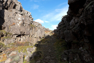 Iceland. Thingvellir on a sunny summer day.