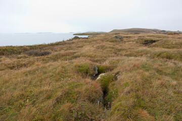 Obraz premium Iceland landscape on a cloudy summer day.