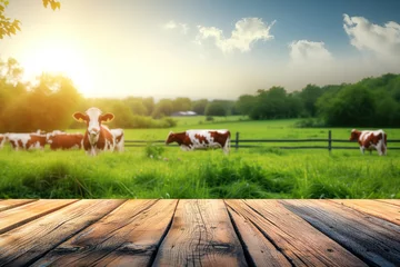 Fotobehang Herd of cows in pastoral landscape © kossovskiy