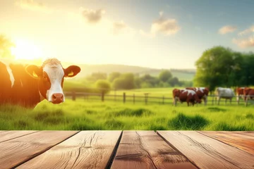 Fotobehang Cow portrait in golden field © kossovskiy