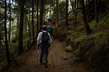 Obraz premium hike in the forest in the ajusco mountain in mexico city