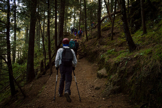 hike in the forest in the ajusco mountain in mexico city
