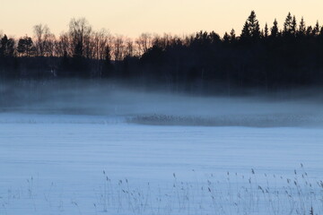 Fototapeta premium The lake in fog on a winter day with blue sky. Forest and grass in cold frozen water.