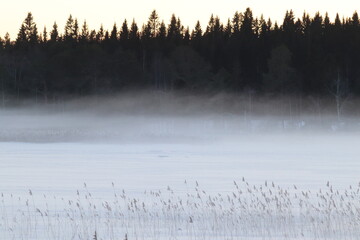 The lake in fog on a winter day with blue sky. Forest and grass in cold frozen water.