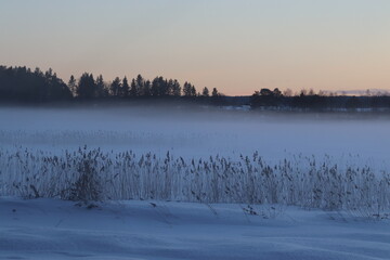 The lake in fog on a winter day with blue sky. Forest and grass in cold frozen water.