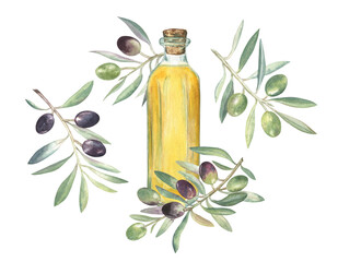 Set of watercolor illustrations of the olive branches and a bottle of the olive oil. Elegant painting for the cookbooks, recipes, kitchen decor, packaging, art prints