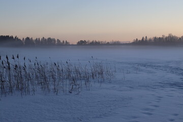 Naklejka premium The lake in fog on a winter day with blue sky. Forest and grass in cold frozen water.