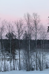 The lake in fog on a winter day with blue sky. Forest and grass in cold frozen water. © Svetlana