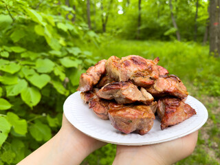 A portion of juicy kebab on a plate in the forest