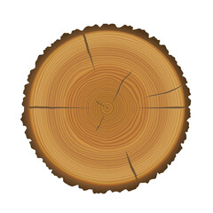 Wood trunk cut with tree rings texture. Wooden stump or circle log slice with annual rings. Round brown pine cut isolated on white background, vector cartoon illustration