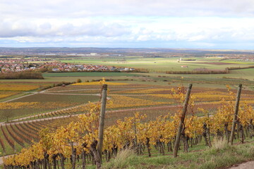 Blick über herbstliche Weinberge in Franken.