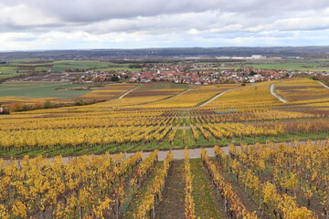 Blick &uuml;ber herbstliche Weinberge in Franken.