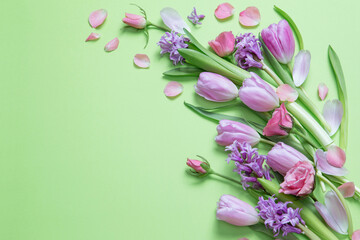 spring flowers on green paper background