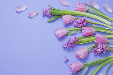 spring flowers on purple paper background