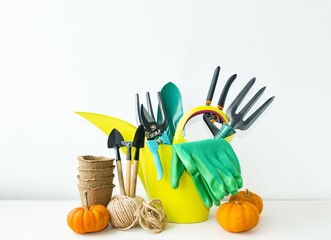 On a light background on the table are gardening tools: a spatula, a rake, a green watering can,...