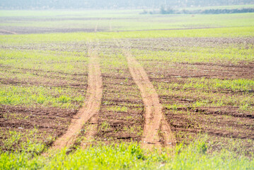 Tractor tracks entering a cereal crop - 728792888