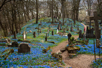 Blue cemetery