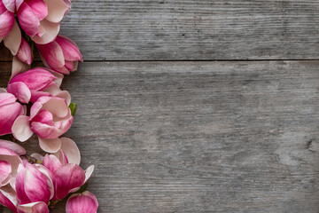 Pink magnolia flowers on rustic wooden background. Flat lay. Top view. Spring holiday background....