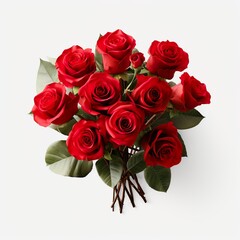 Red Roses on white Background. Valentines Day. Love.