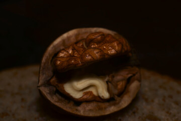 Open walnut on a dark background 