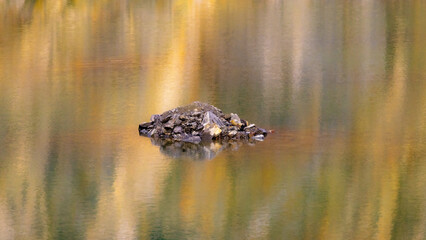 Abstract photography created with camera, single exposures.