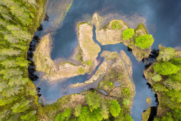 Pure nature with water and treetops seen from a drones perspective