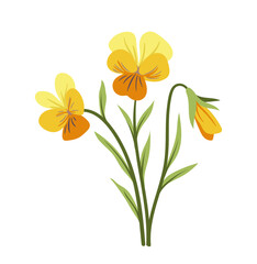 Spring flowers concept. Bloom and blossom yellow plants. Wild life and flora, botany. Aesthetics and elegance. Poster or banner. Cartoon flat vector illustration isolated on white background