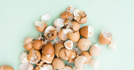 Top view of egg shells being dried, eggs shells gathered for zero waste and a sustainable lifestyle