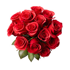 Red Roses on transparent Background. Valentines Day. Love.