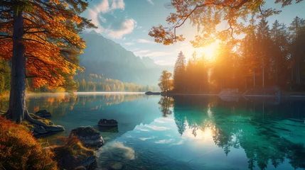 Foto op Canvas Beautiful autumn sunrise scene with trees . © Insight