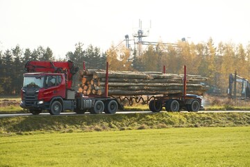 Fototapeta na wymiar Side view of a truck with wooden logs cargo on the highway. Timber wood delivery and processing. Forestry concept.