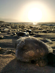 Wet Stone in the sundown 