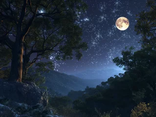 Photo sur Plexiglas Anti-reflet Pleine Lune arbre night scene in Outlook, focusing on a starry sky above a tranquil forest, with meticulous attention to the lighting and shadows created by the moon, and the intricate details of the forest foliage